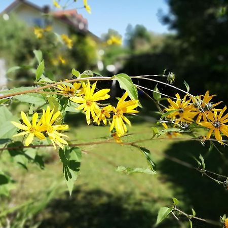 Fewo Happy Place In Traumhafter Lage See Nah Utting am Ammersee Luaran gambar