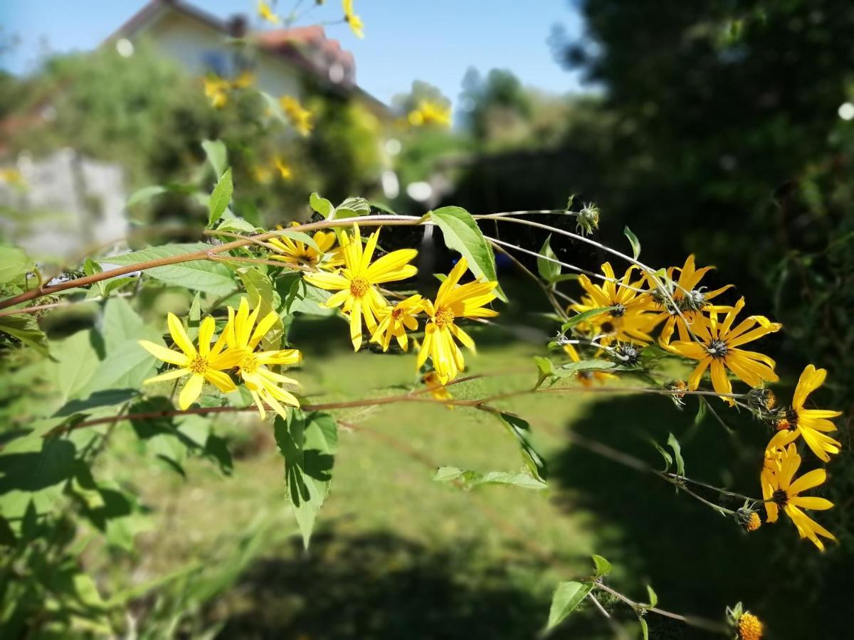 Fewo Happy Place In Traumhafter Lage See Nah Utting am Ammersee Luaran gambar